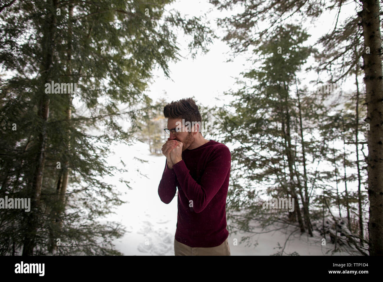 Man warming hands while standing against trees during winter at forest Stock Photo