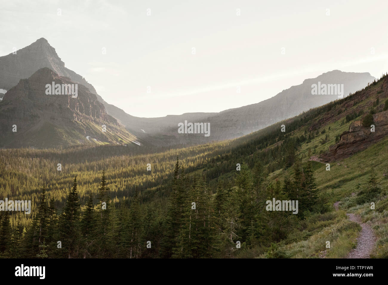 View of green mountains hi-res stock photography and images - Alamy