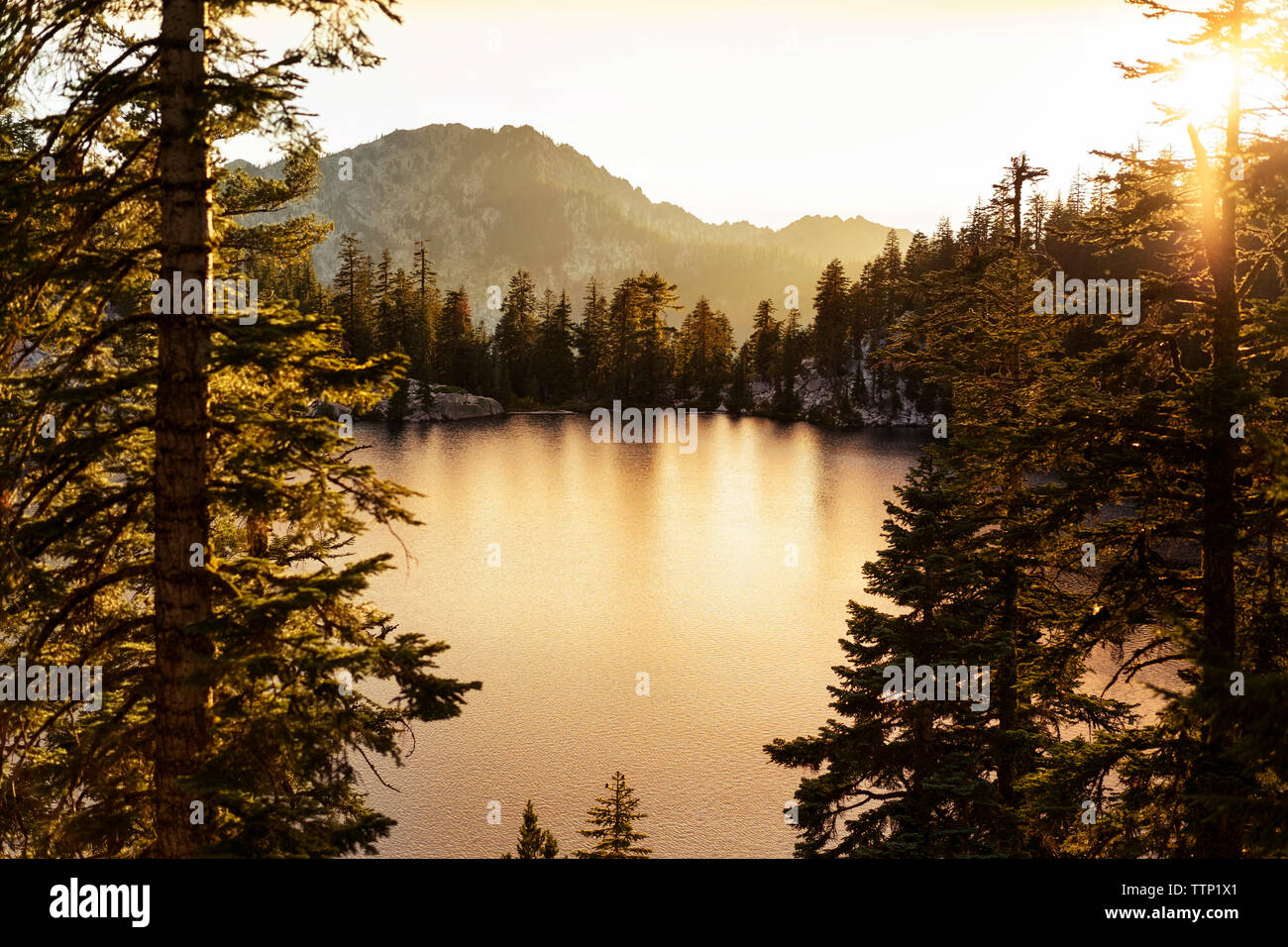 Scenic view of lake surrounded by trees during sunset Stock Photo - Alamy