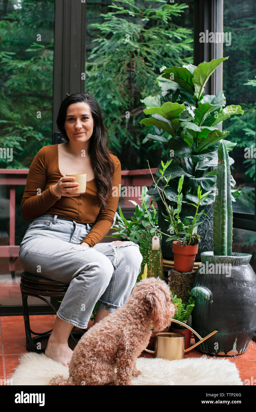 Portrait of confident young woman having drink while sitting by poodle and potted plants on porch Stock Photo