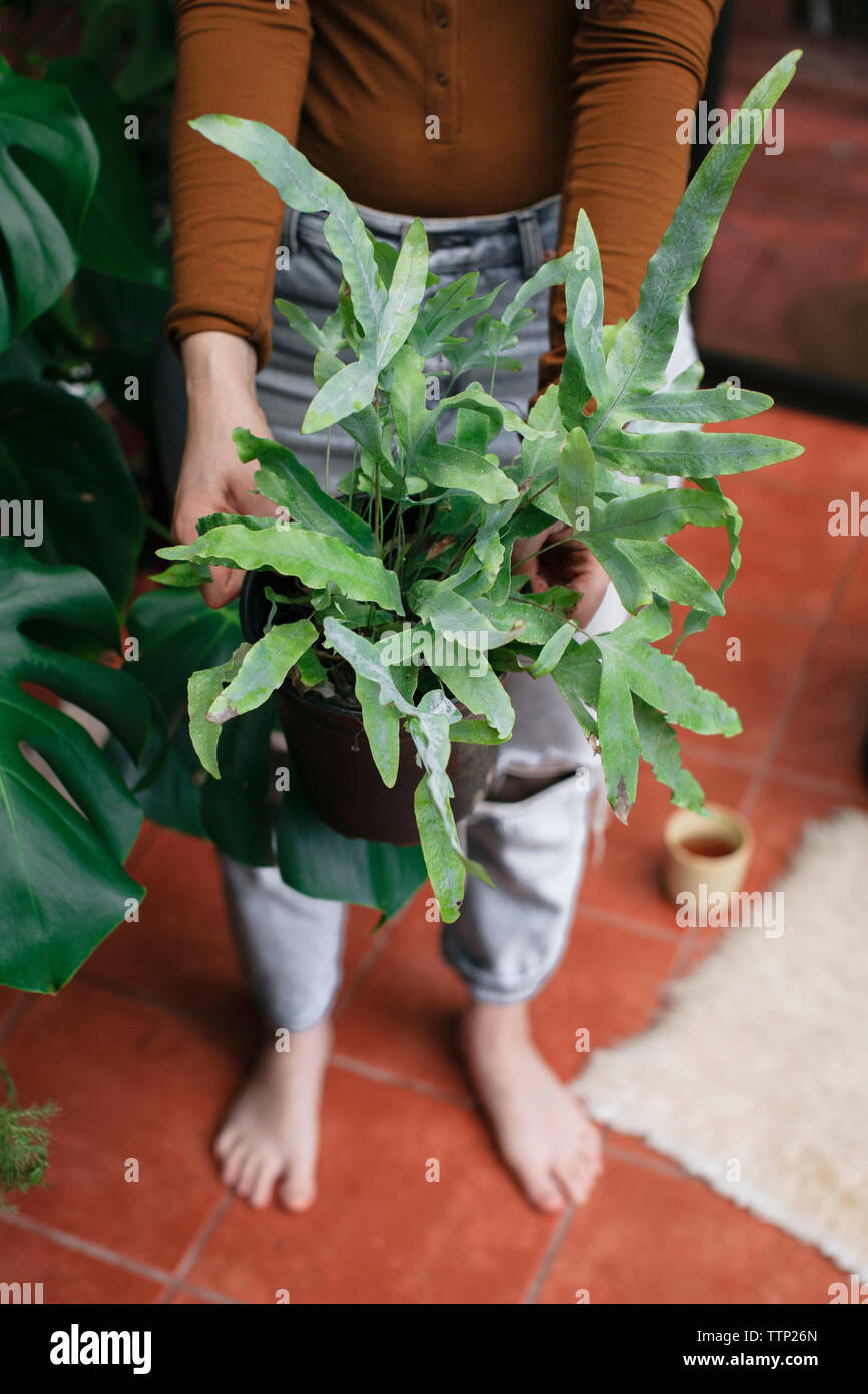 Low section of young woman holding potted plant while standing on porch ...