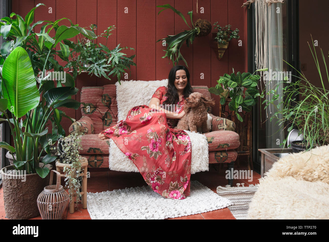 Smiling young woman with poodle resting on sofa amidst potted plants at porch Stock Photo