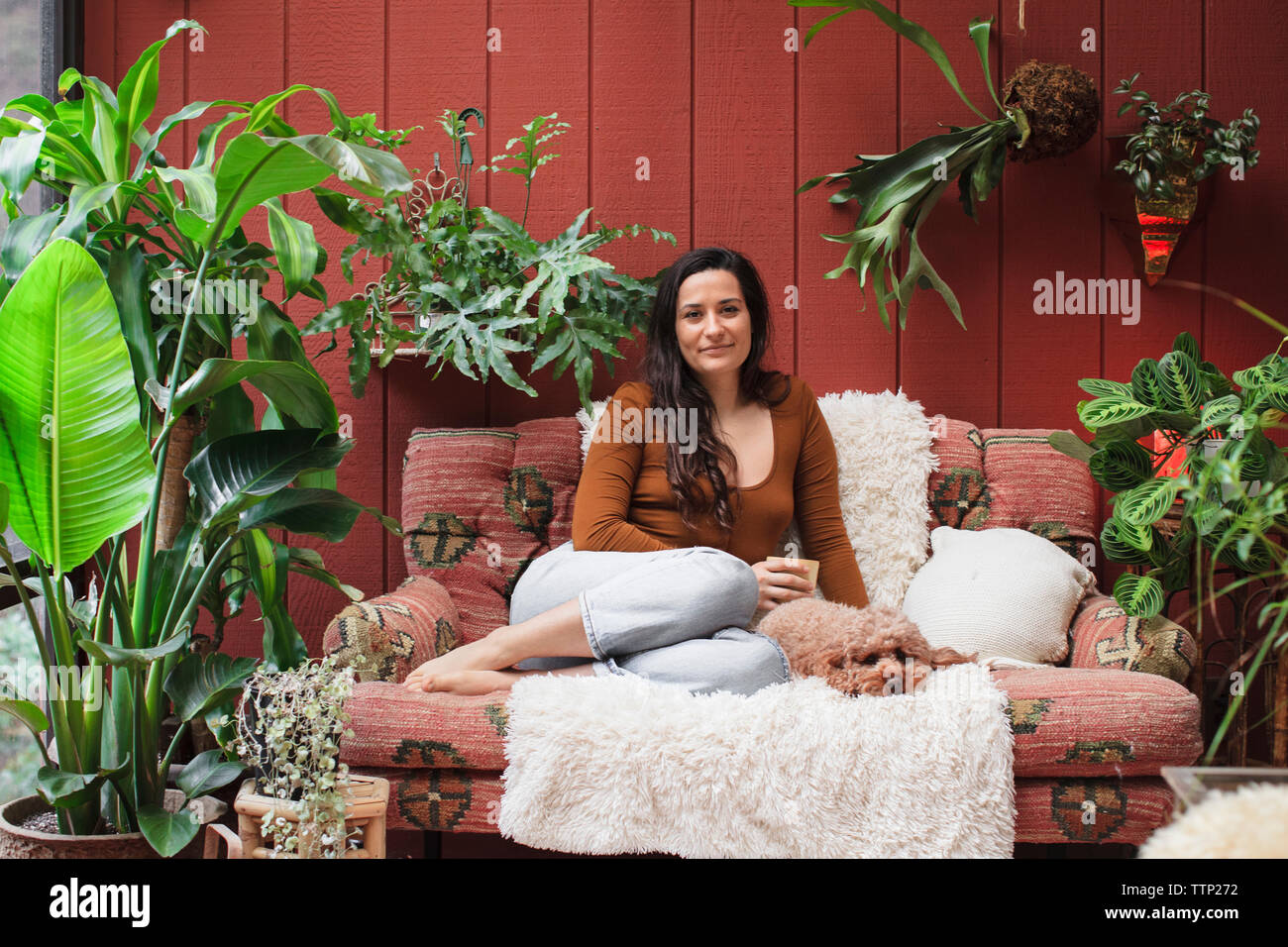 Portrait of young woman with poodle resting on sofa amidst potted plants at porch Stock Photo