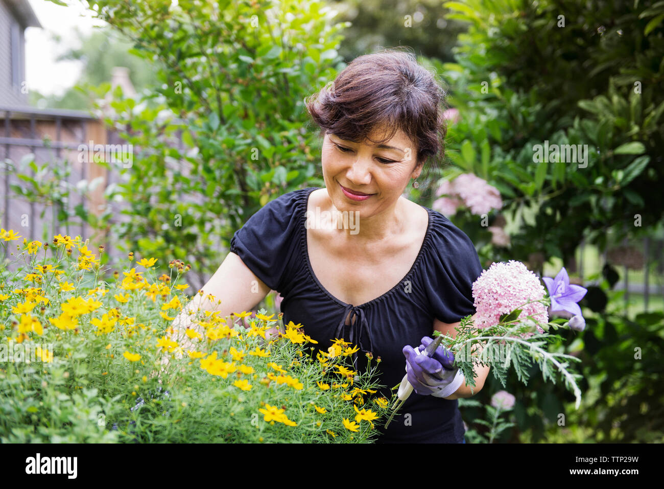 Senior woman holding flowers while gardening in backyard Stock Photo