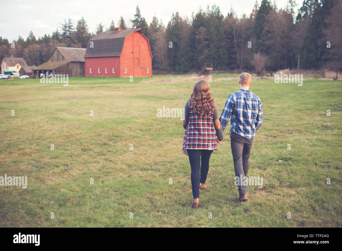 Rear view of couple holding hands and walking on grassy field Stock ...
