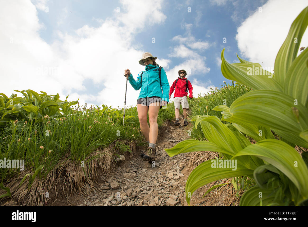 Low angle adventure friends hi-res stock photography and images - Alamy