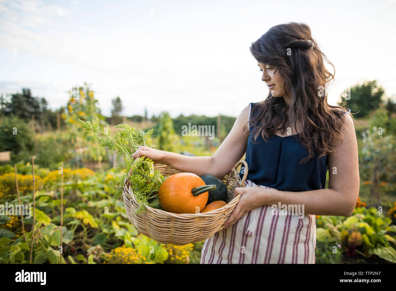 Woman looking at vegetables while carrying it in basket at community garden Stock Photo
