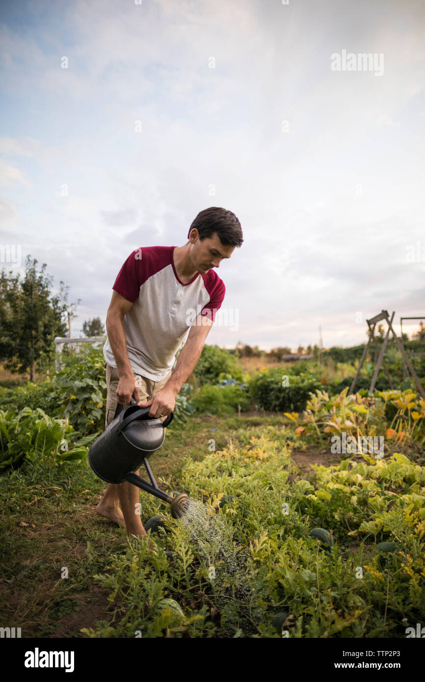 Man watering plants at community garden against sky Stock Photo
