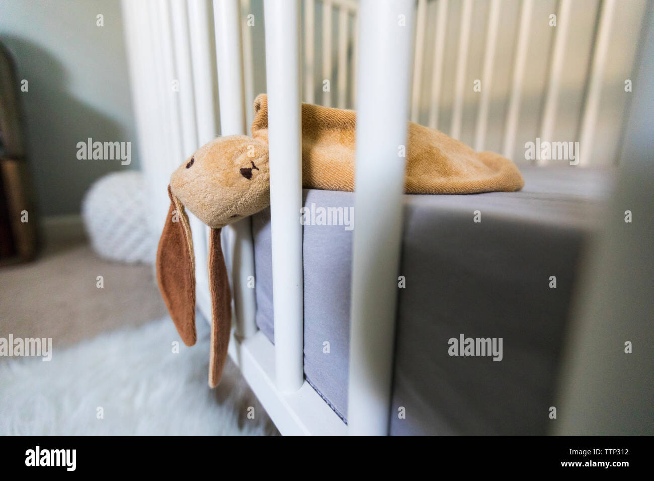 Toy in crib at home Stock Photo