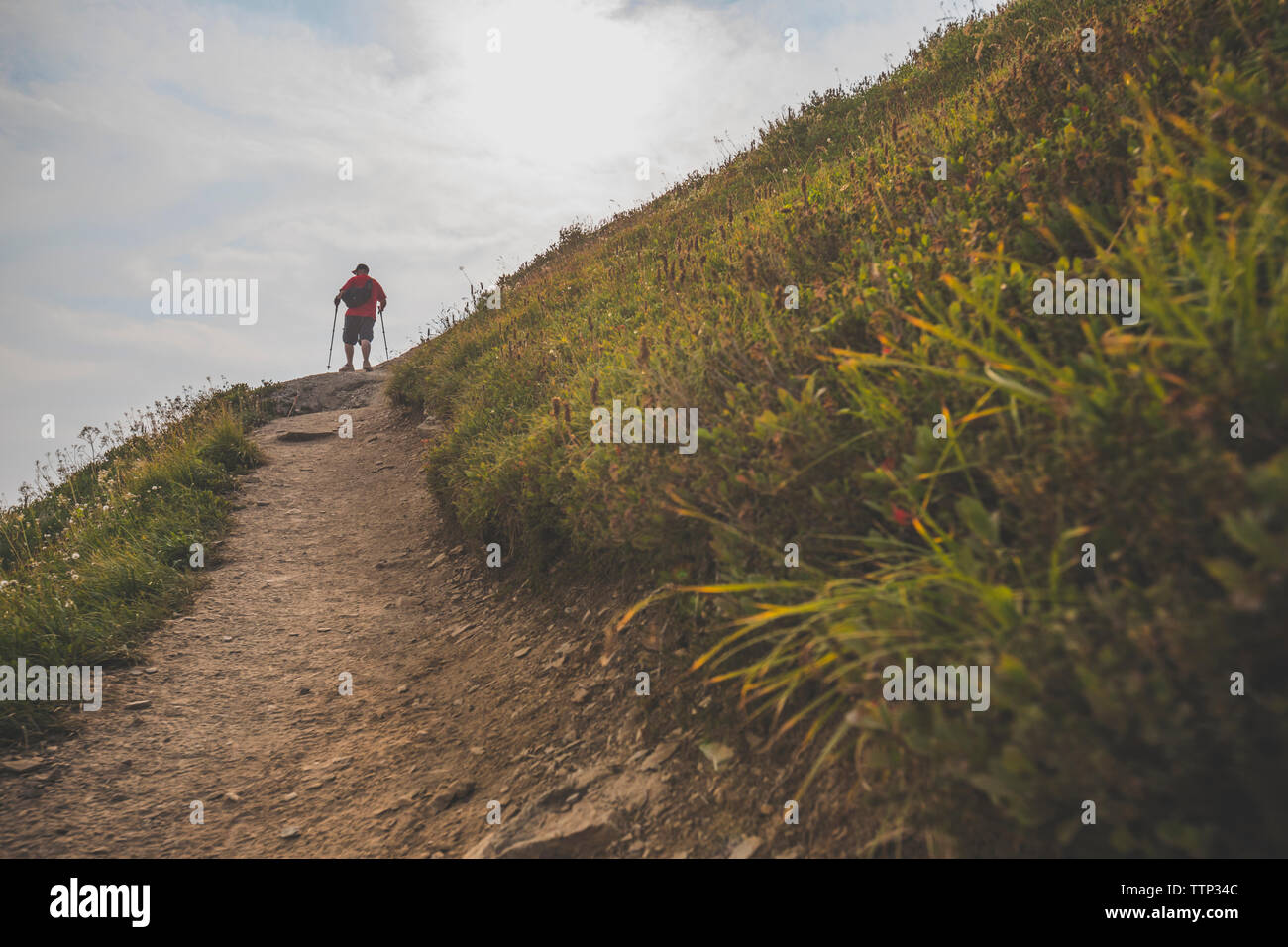 Rear view of hiker standing on mountain Stock Photo - Alamy