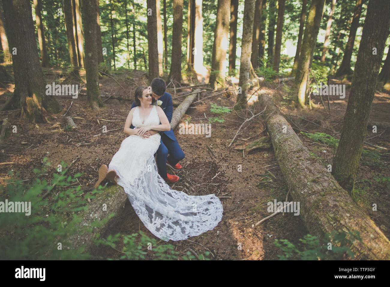 Couple sitting in tree hi-res stock photography and images - Alamy