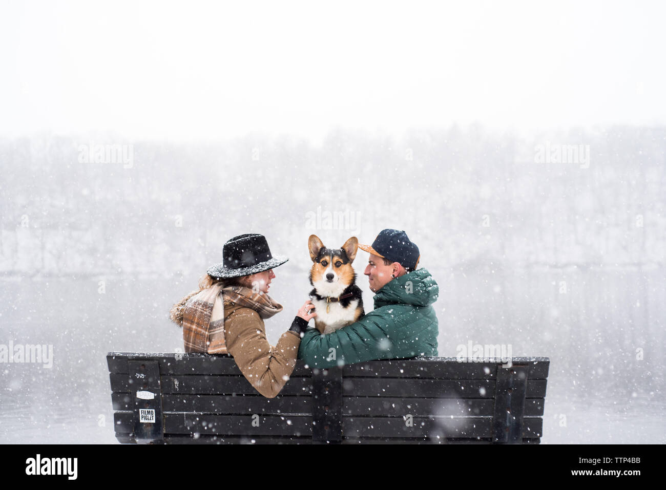 Couple with their dog locking eyes on a bench during a heavy snowfall