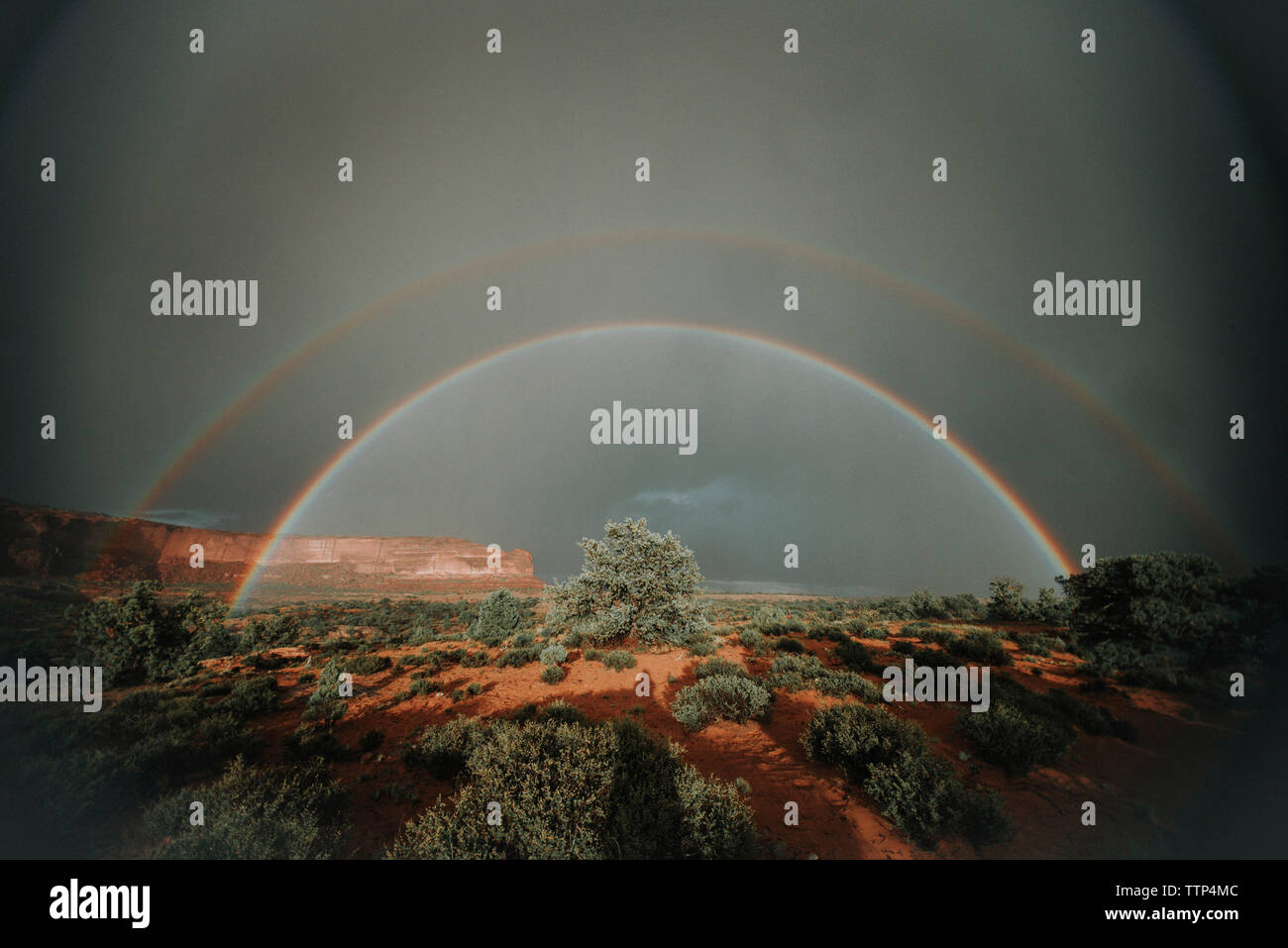 Rainbows pattern hi-res stock photography and images - Alamy