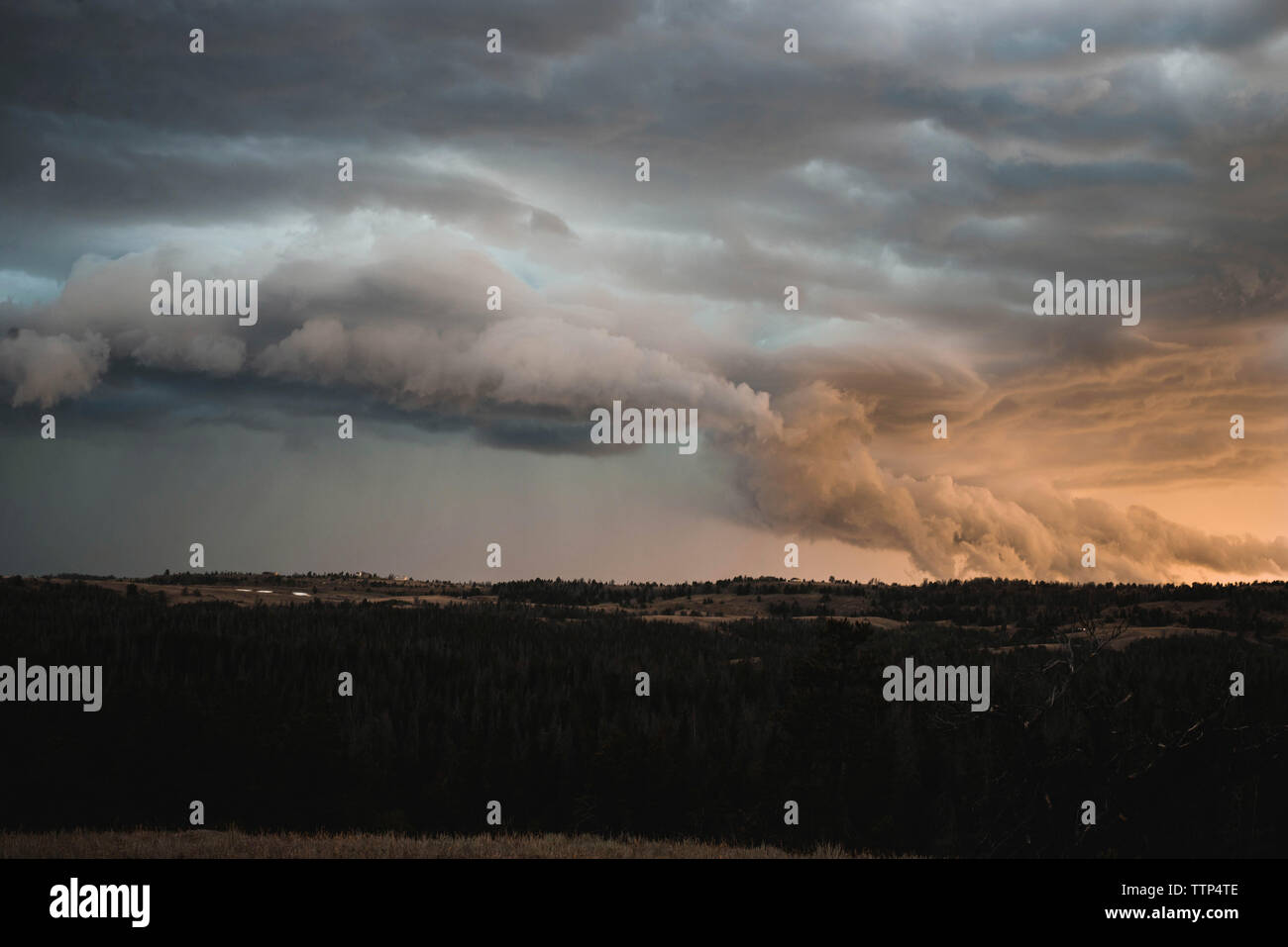 Scenic view of storm clouds raining over landscape Stock Photo