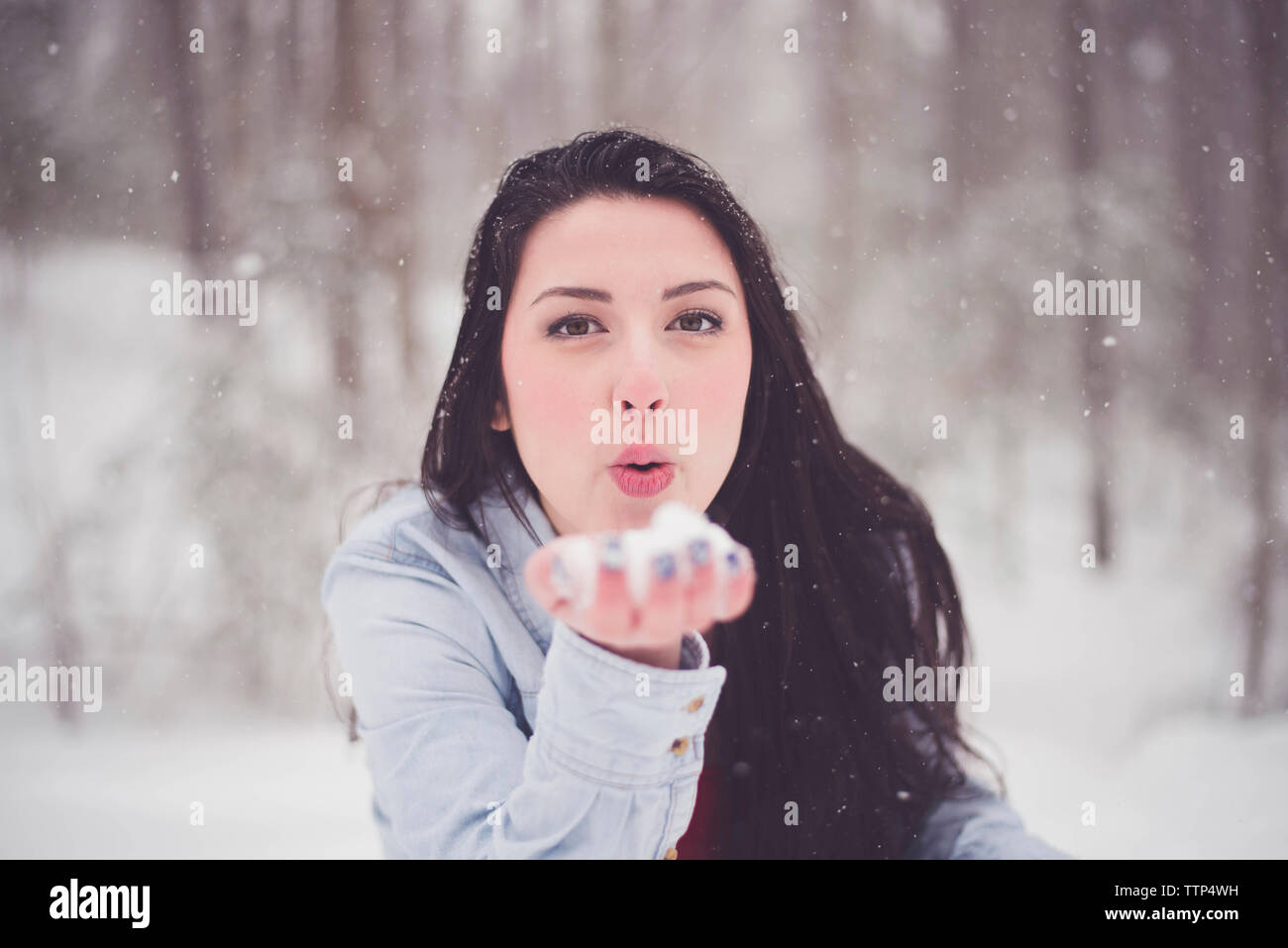 Сноуборд архыз девушки. Snow while. Бросание снежков. Сноубордист спускается с горы. Snow while.