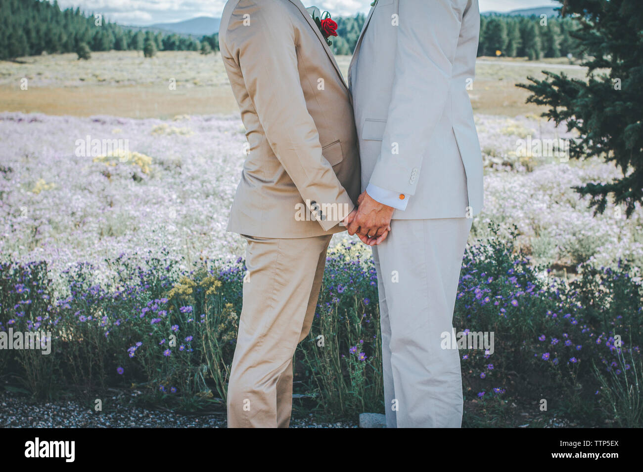 Midsection of homosexual couple holding hands while standing on field Stock Photo
