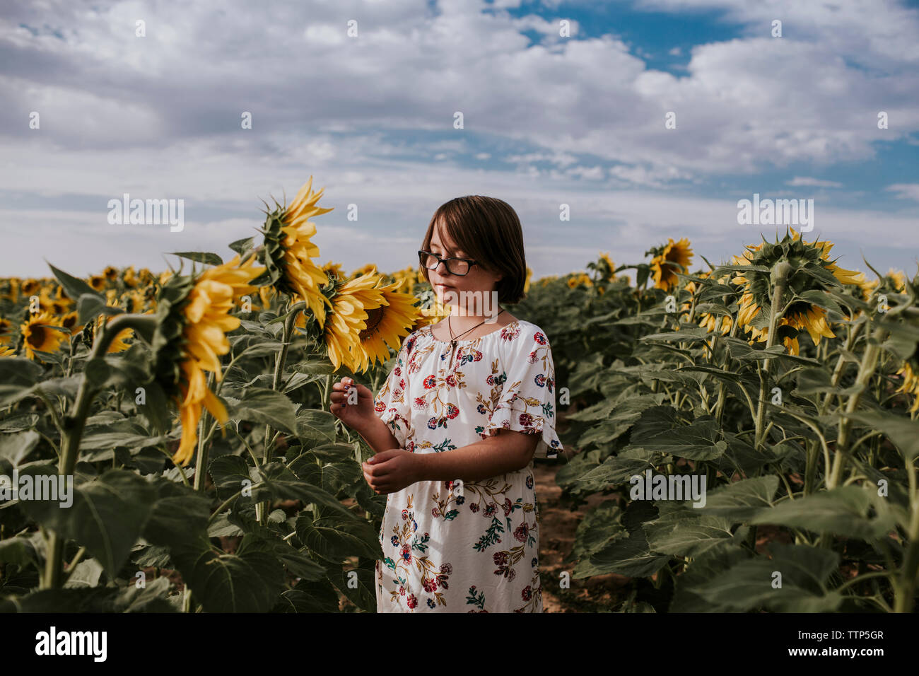 Girl standing in flower field hi-res stock photography and images - Alamy