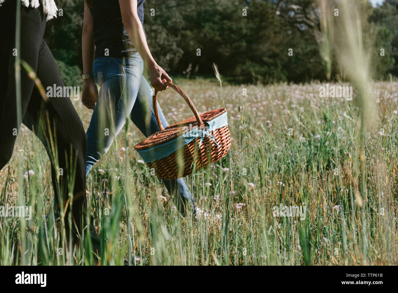 Low section of woman carrying picnic basket walking with friend on grassy field Stock Photo