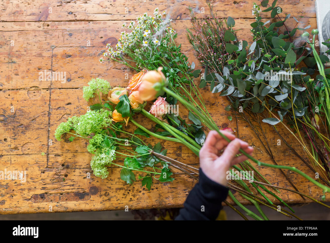 Cropped image of woman's hand selecting flowers at flower shop desk Stock Photo