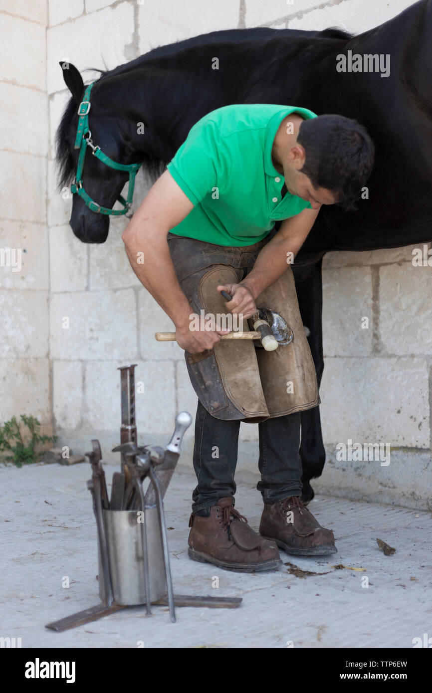 Young farrier shoeing a horse, being down Stock Photo