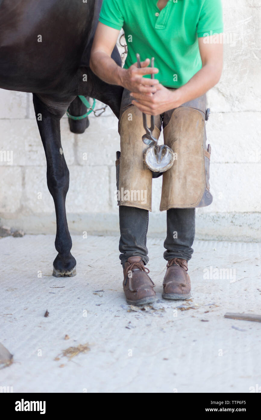 Unrecognisable Farrier shoeing a horse Stock Photo