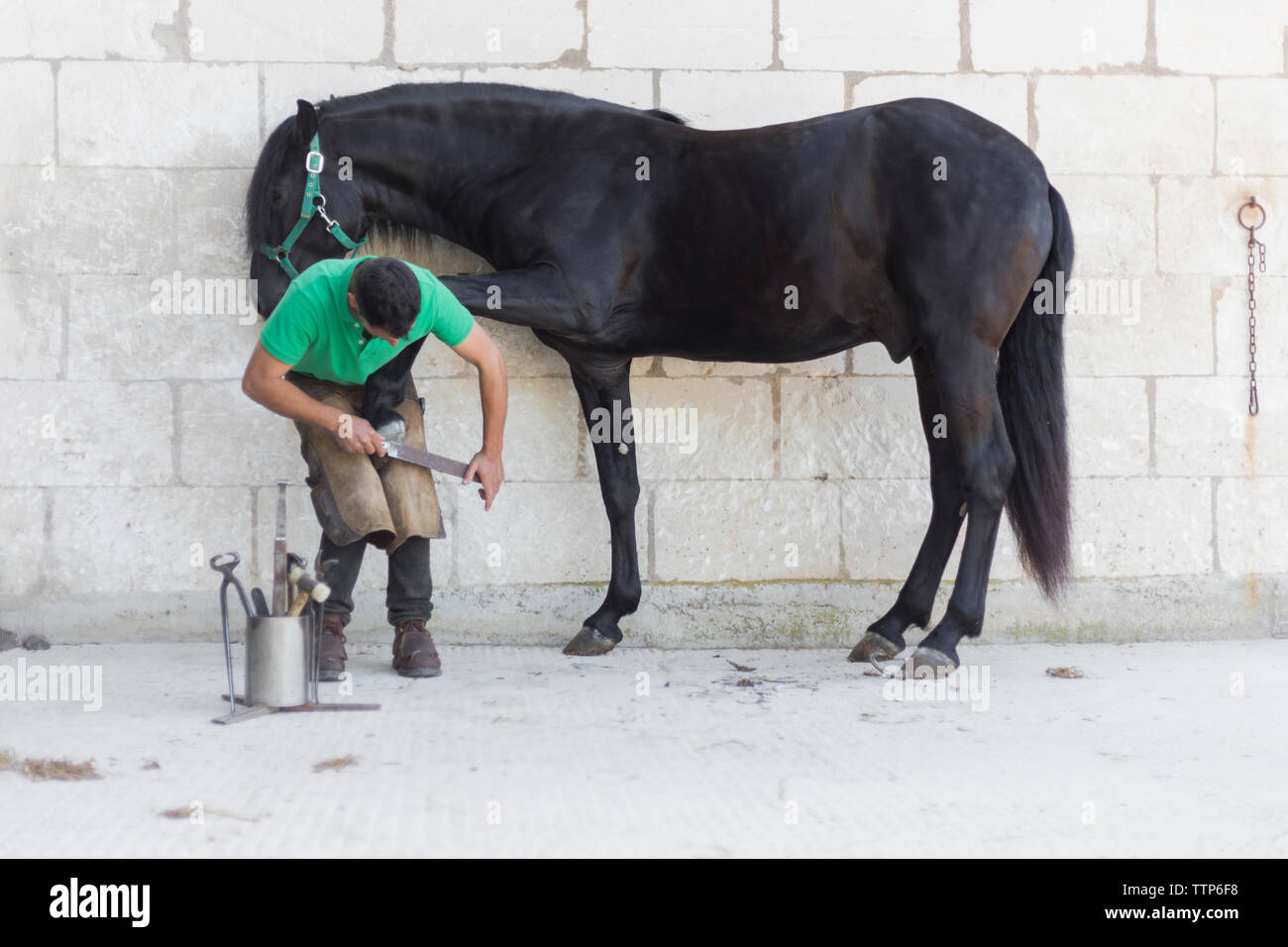 Farrier filing the hoof of a horse Stock Photo