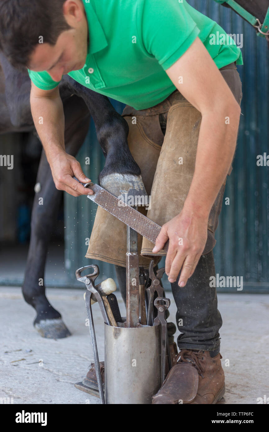 Young farrier filing the hoof of a horse Stock Photo