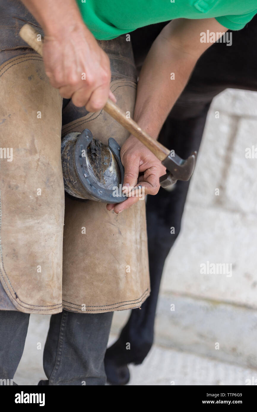 Close up of a Farrier nailing new horse shoe Stock Photo