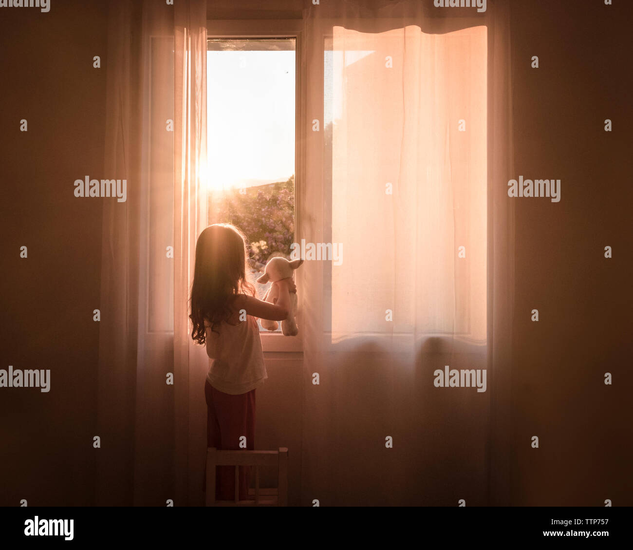Girl looks out of bedroom window with toy with sunflare Stock Photo