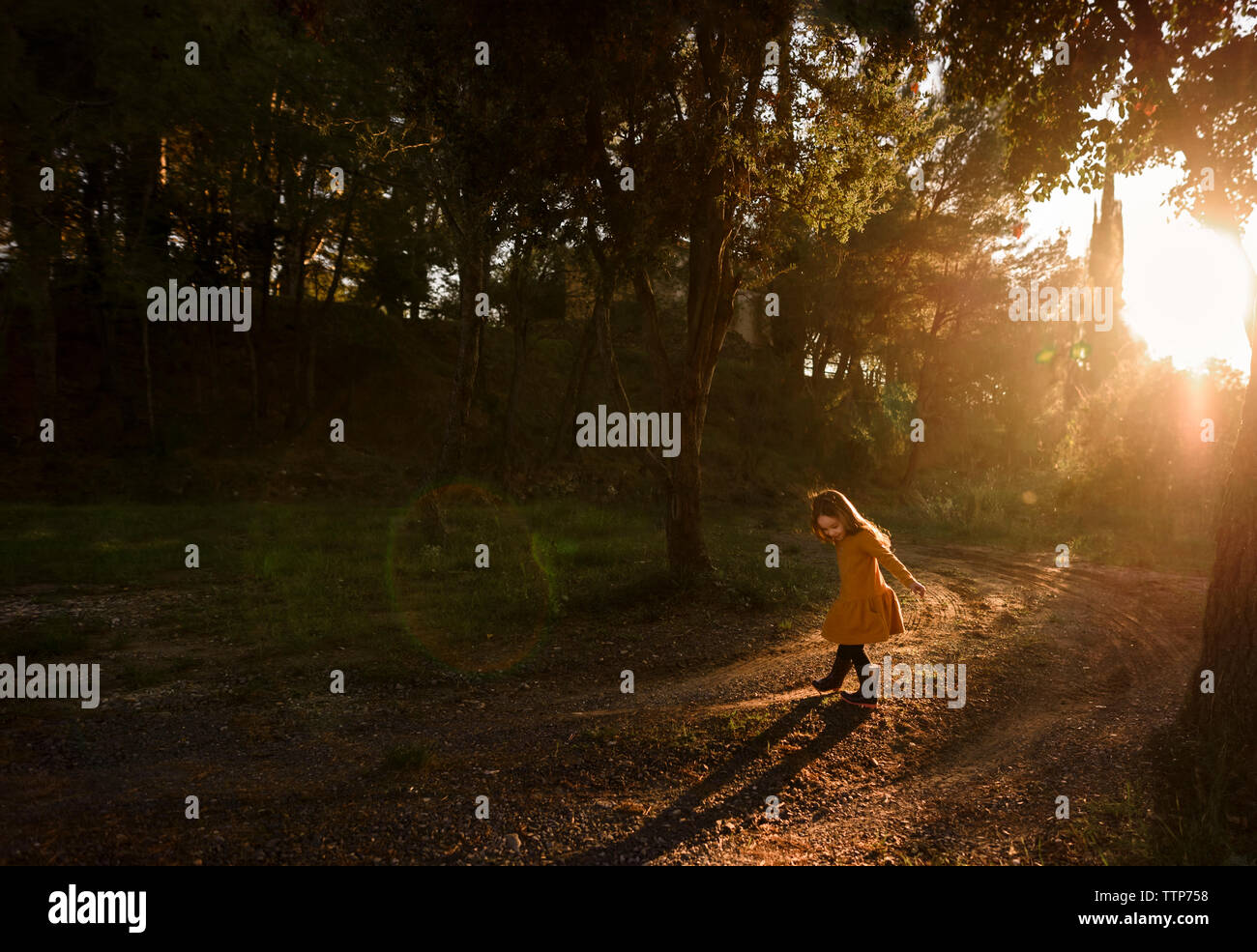 Girl plays in trees in golden light with sunflare Stock Photo