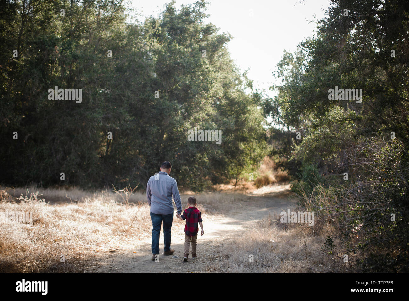 Father and his son walking together holding hands hi-res stock ...