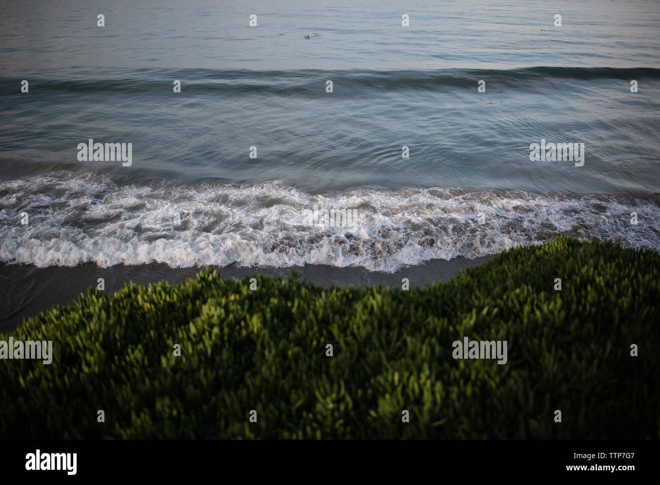 Scenic view of waves flowing on shore during sunset Stock Photo