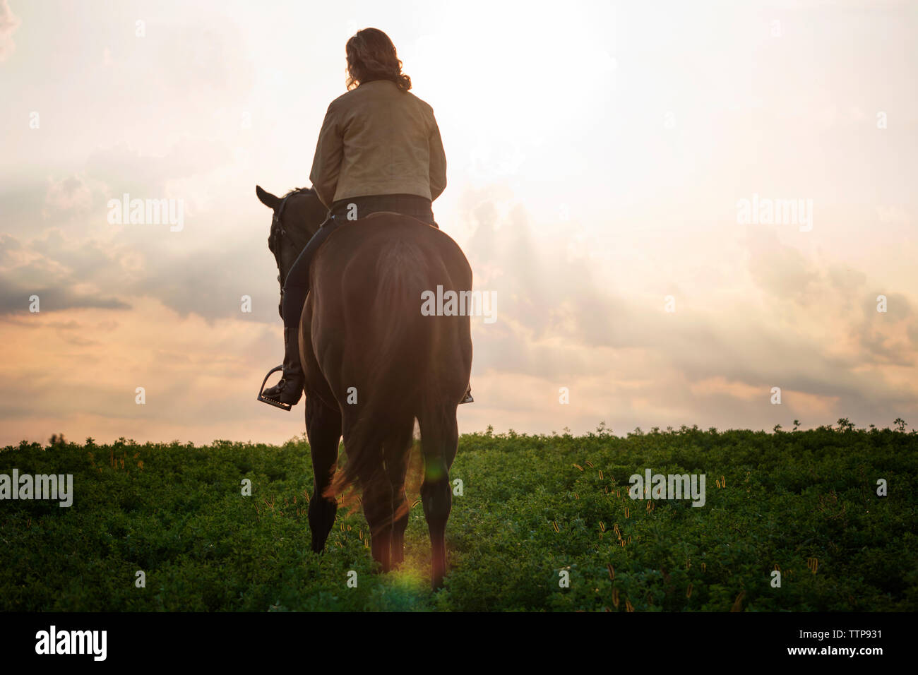 Rear view woman riding horse hi-res stock photography and images - Alamy