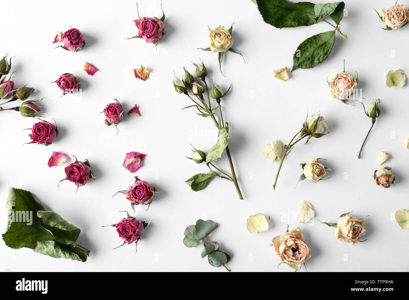 Dried rose buds on white background Stock Photo - Alamy