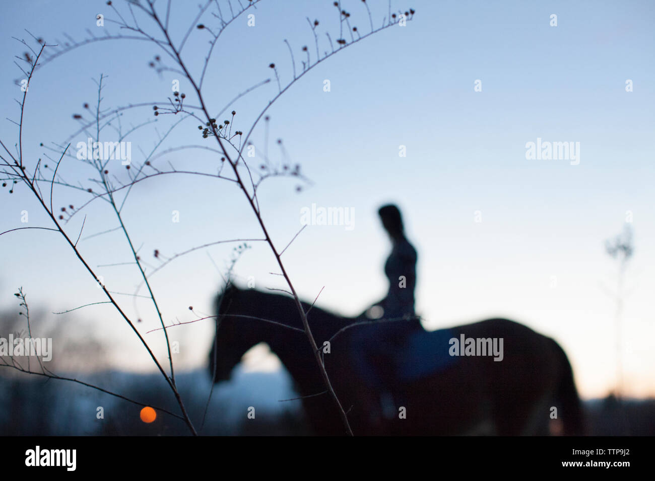 Woman riding horse against sky Stock Photo