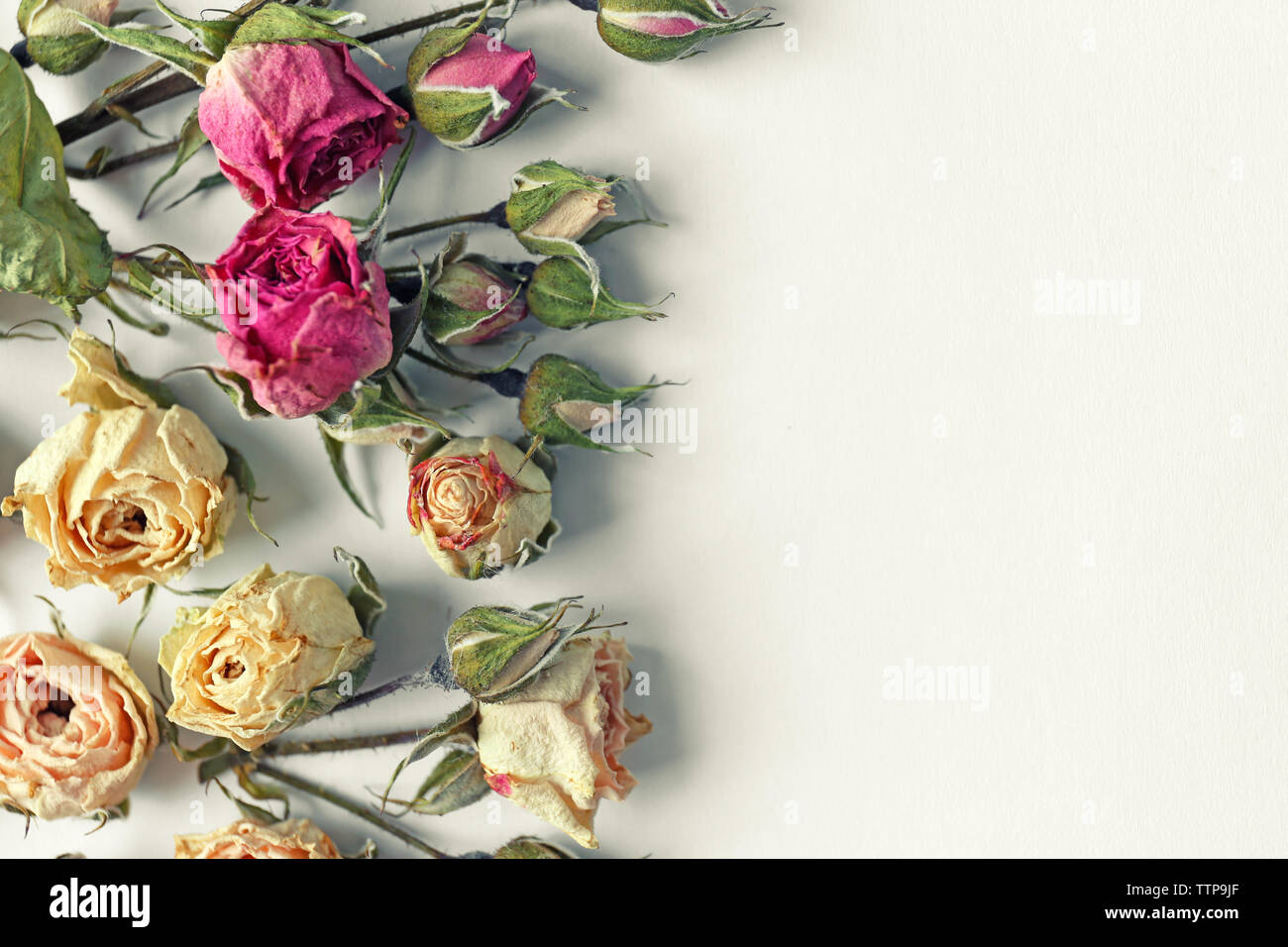 Dried rose buds on white background Stock Photo - Alamy