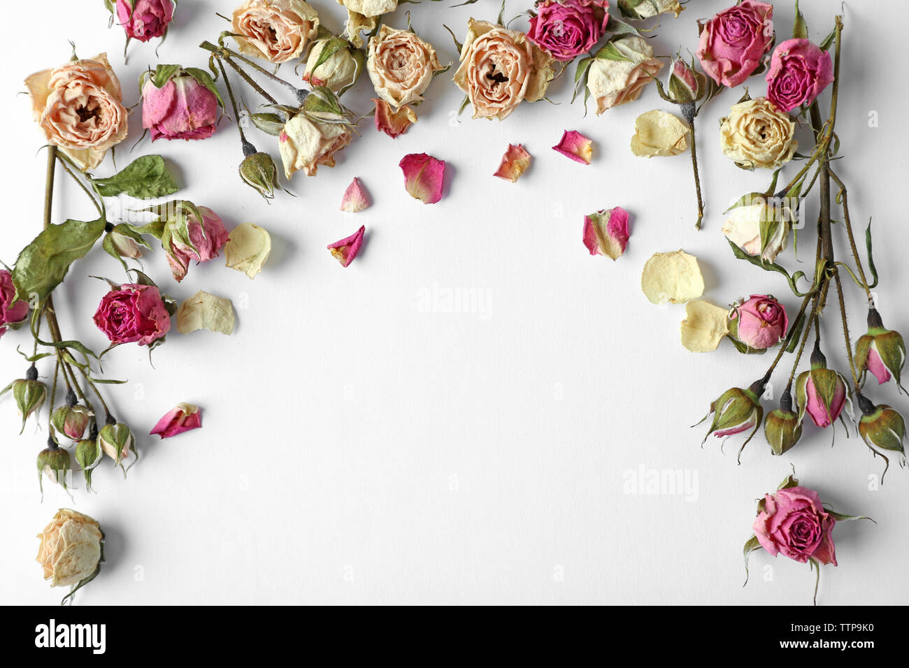 Dried rose buds on white background Stock Photo - Alamy