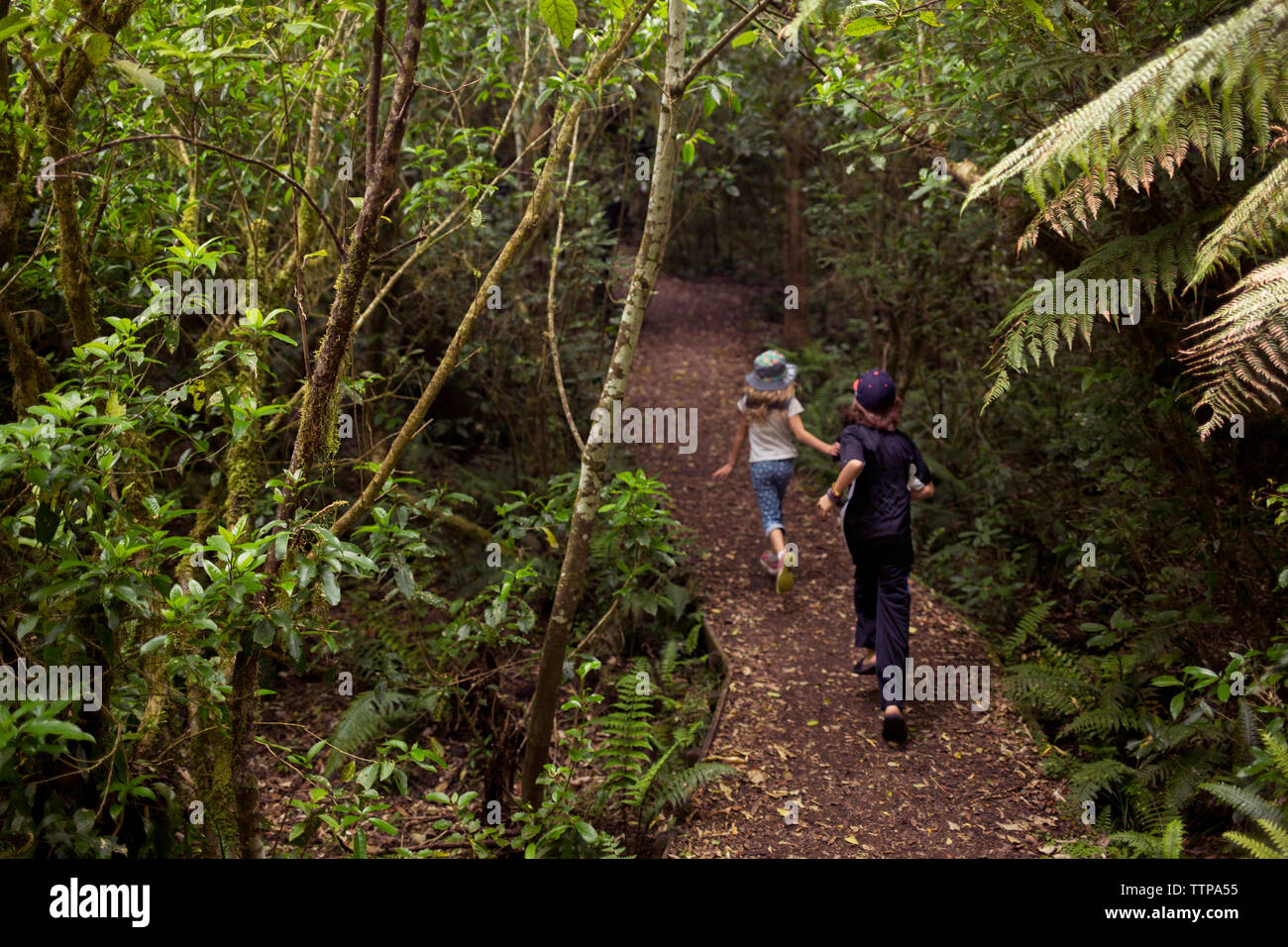 Brother sister running in forest hi-res stock photography and images ...