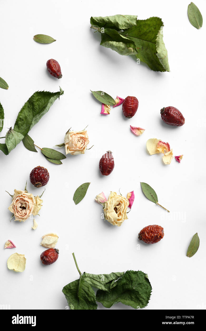 Dried roses on white background Stock Photo - Alamy