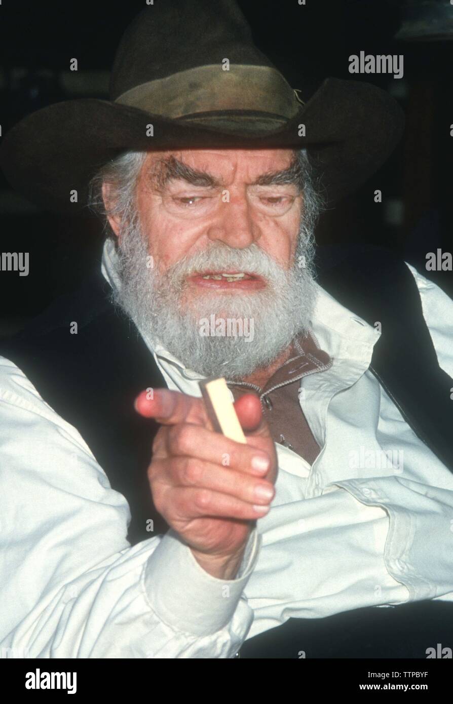 Jack Elam 1993Photo By Michael Ferguson/PHOTOlink.net / MediaPunch ...