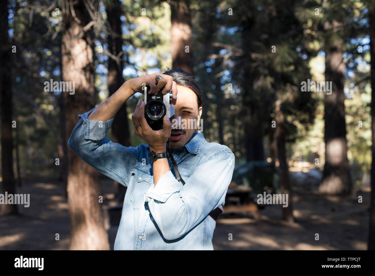 Man photographing trees hi-res stock photography and images - Alamy