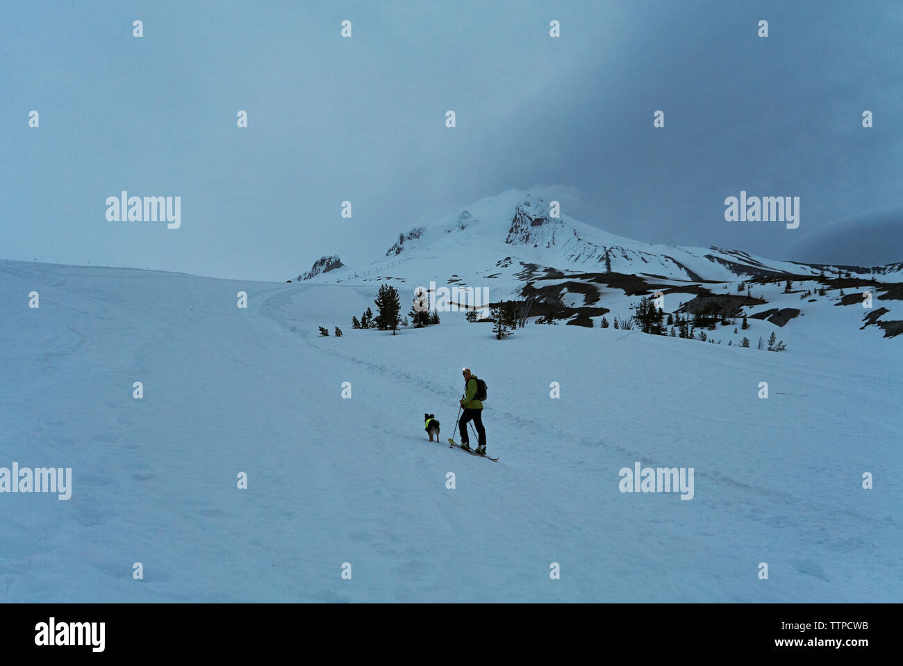 Man hiking with dog hi-res stock photography and images - Alamy