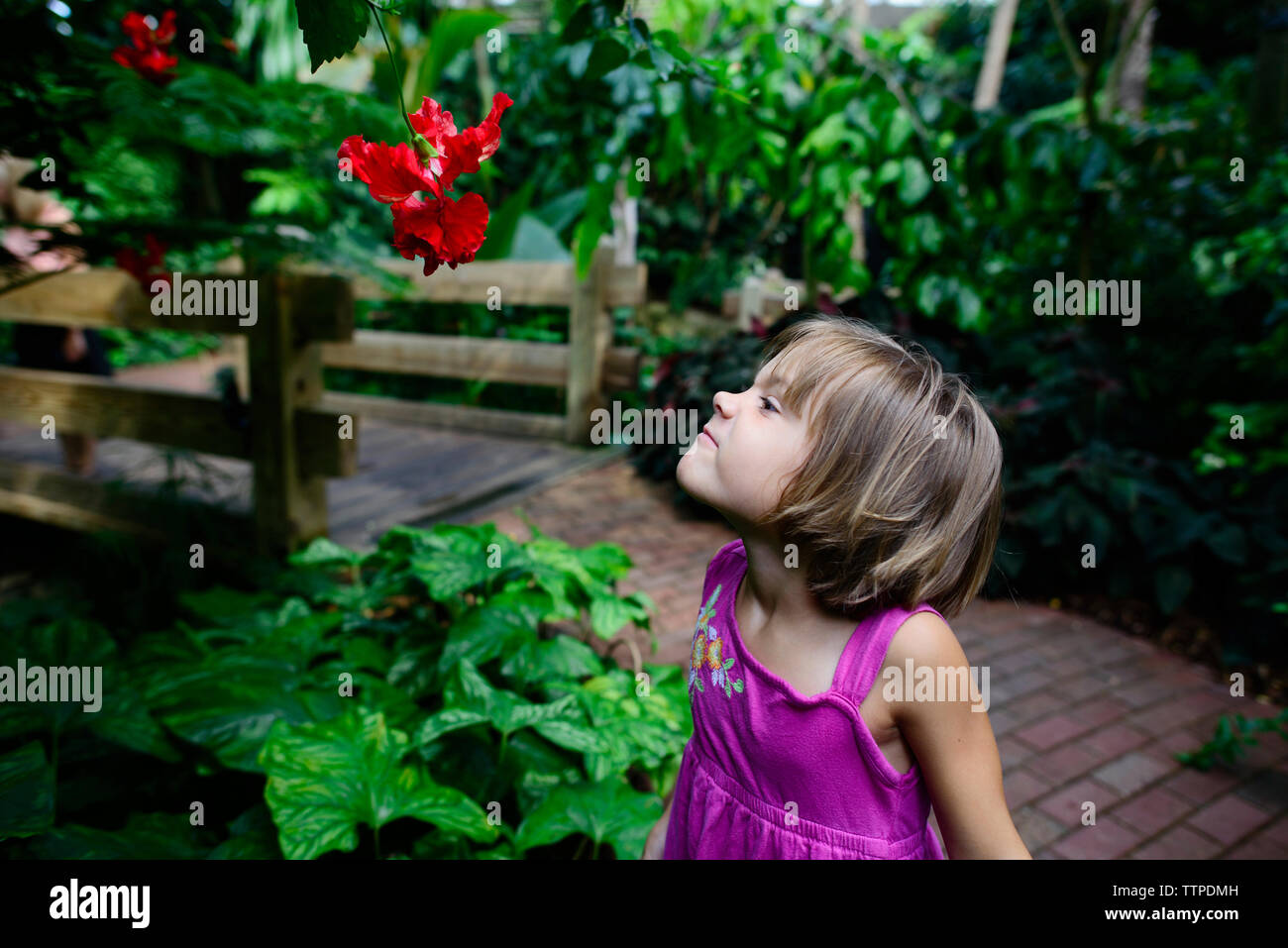 Girl making a face while looking at hibiscus in garden Stock Photo