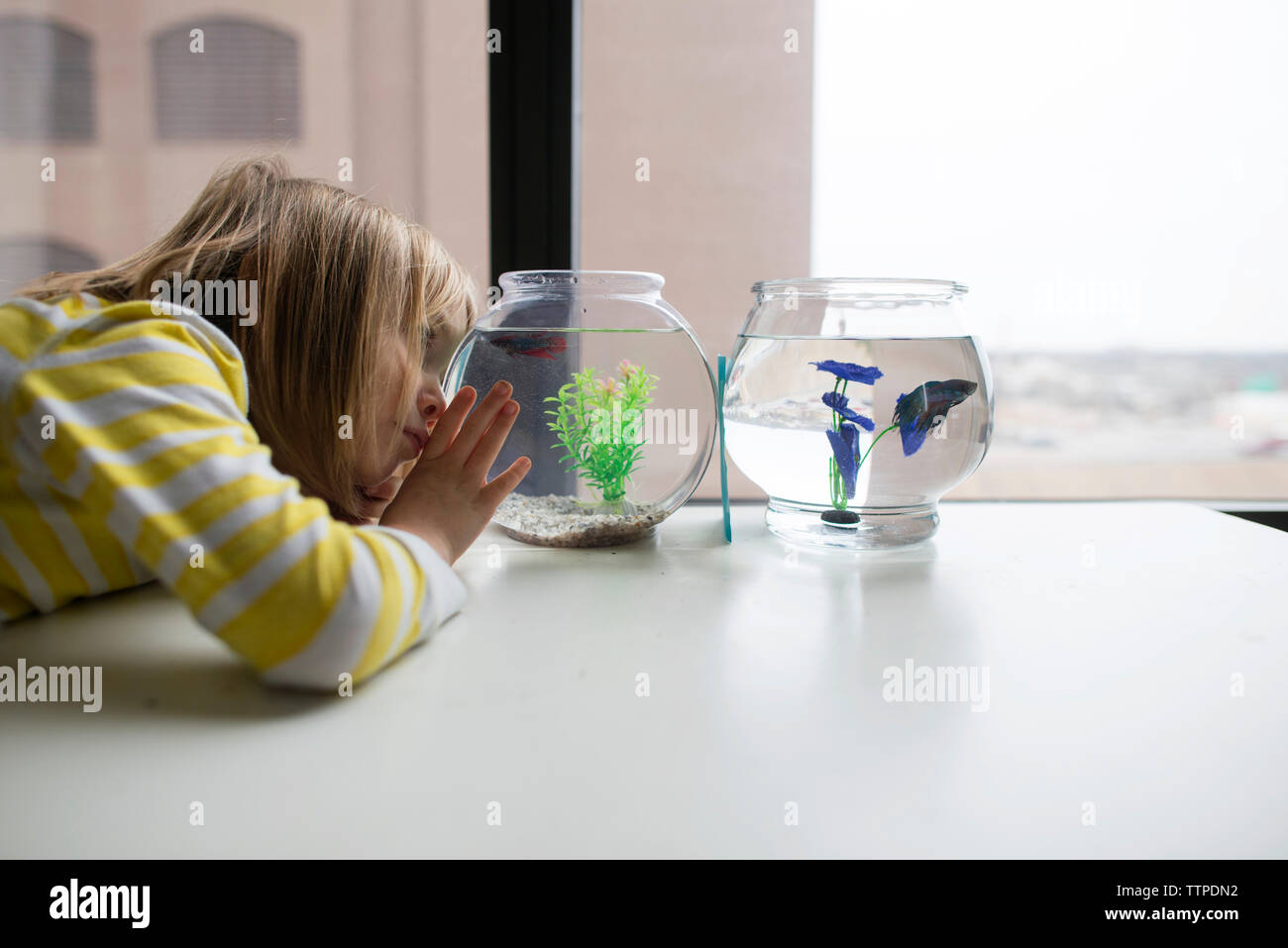 Girl with fish bowl hi-res stock photography and images - Alamy