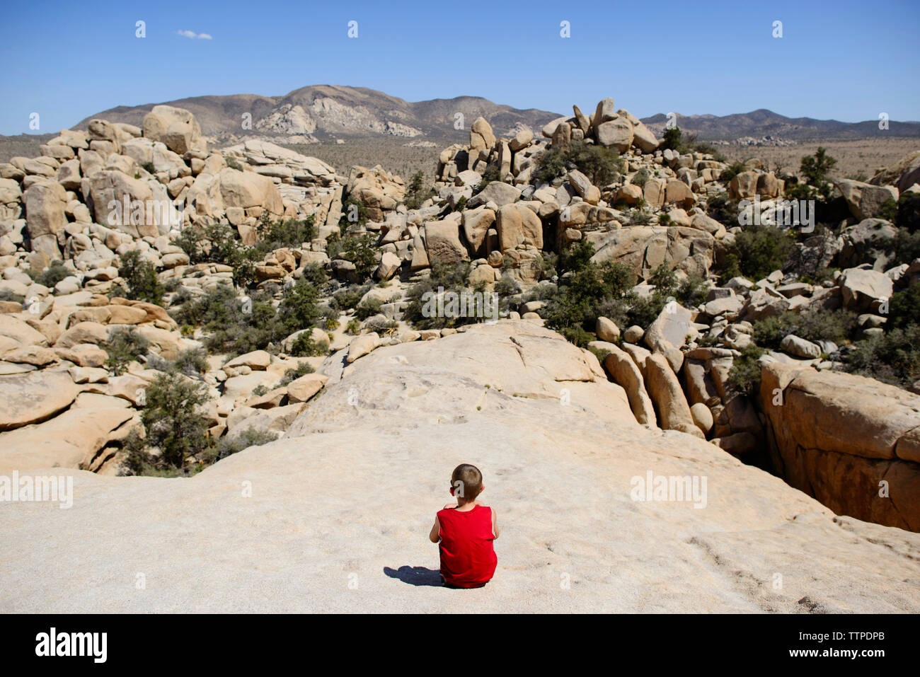 Rear view of boy looking at rock formations while sitting at Joshua Tree National Park against sky Stock Photo