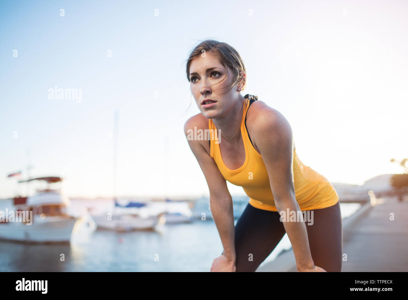 Tired female athlete standing with hands on knees by harbor against clear blue sky Stock Photo