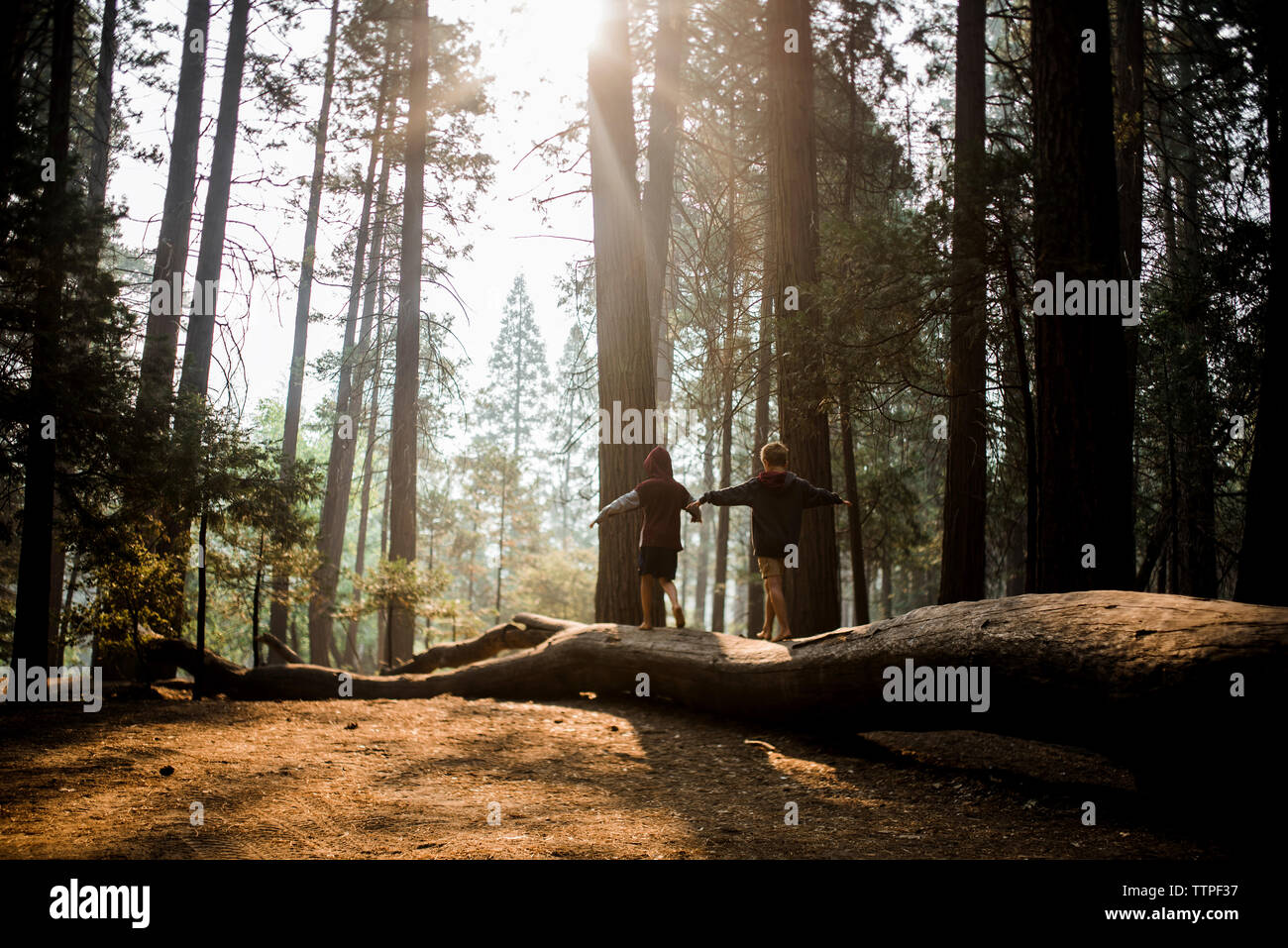 Rear view of brothers with arms outstretched walking on log in Yosemite National Park Stock Photo