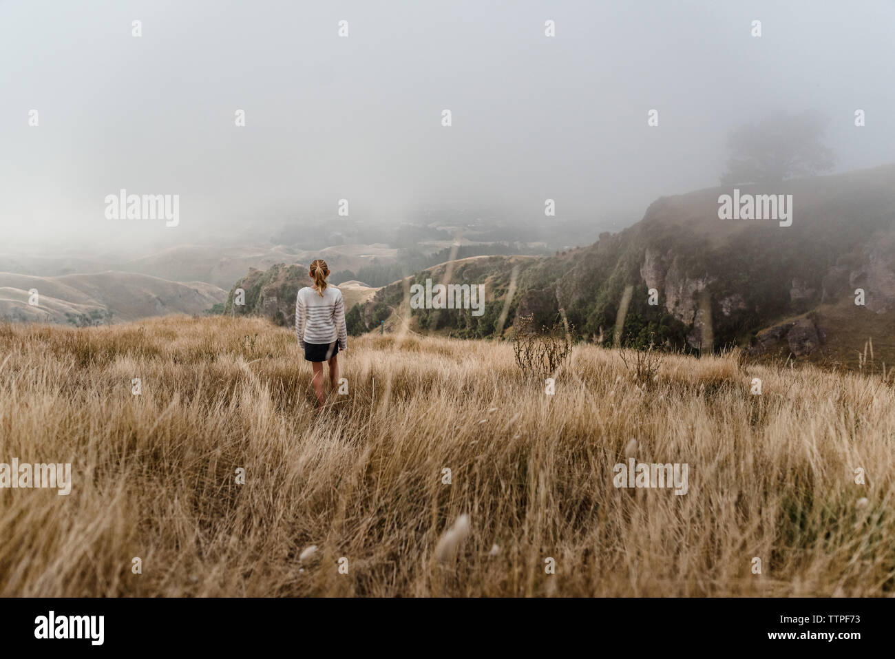 Girl walking through tall grass on a foggy morning in New Zealand Stock Photo