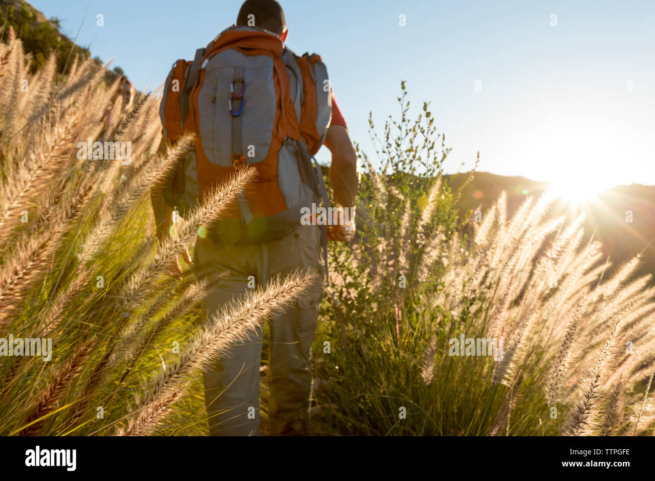 Male backpacker walking on field against sky Stock Photo