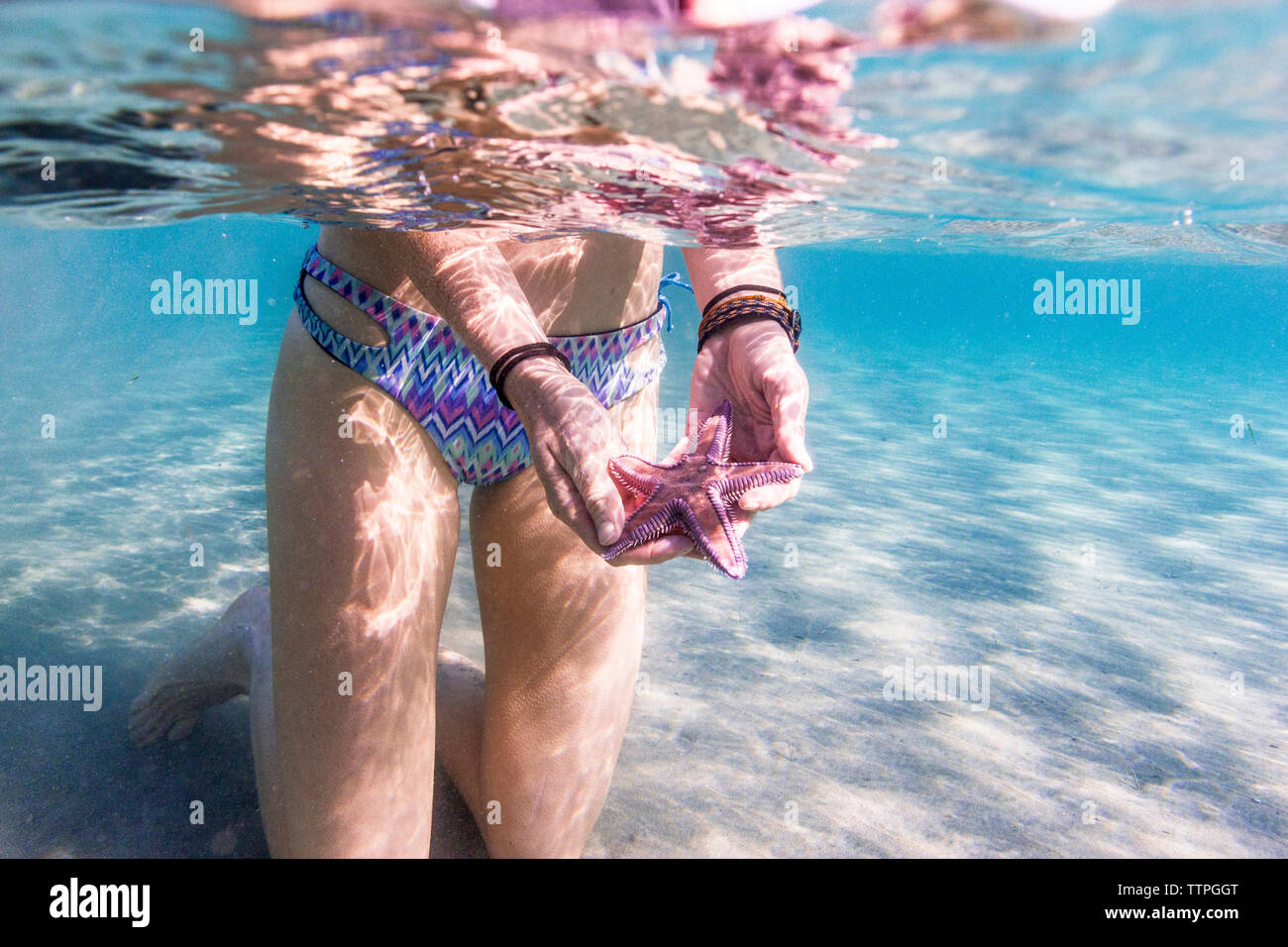 Low section of woman holding starfish while kneeling in sea Stock Photo